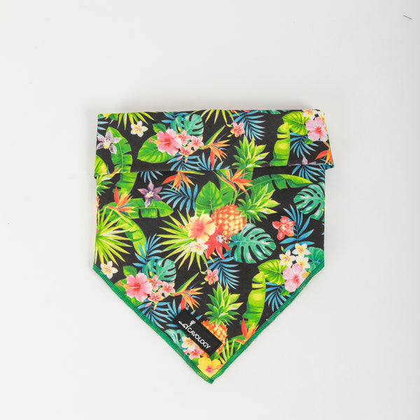 DOG BANDANA - Tropical RIO