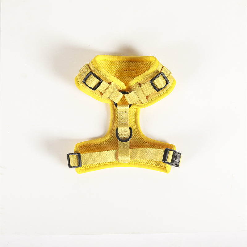 ADJUSTABLE HARNESS - Hey Sunshine