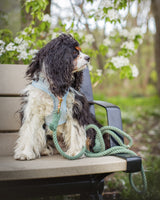 ROPE LEASH - Sage
