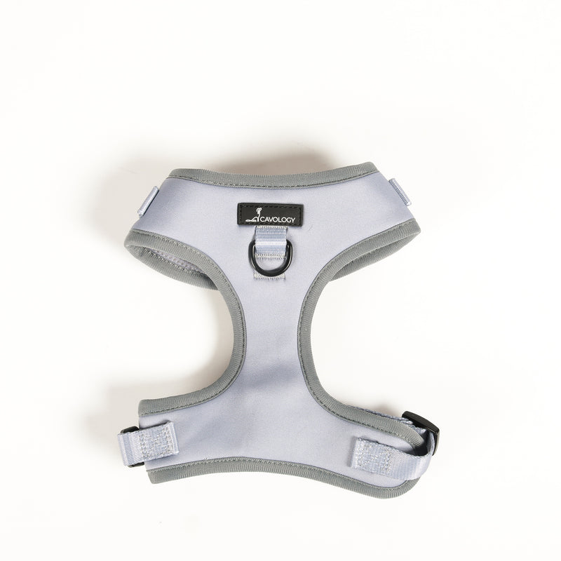 ADJUSTABLE HARNESS - Whistler