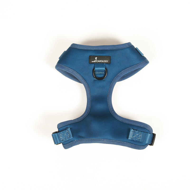 ADJUSTABLE HARNESS - Zermatt
