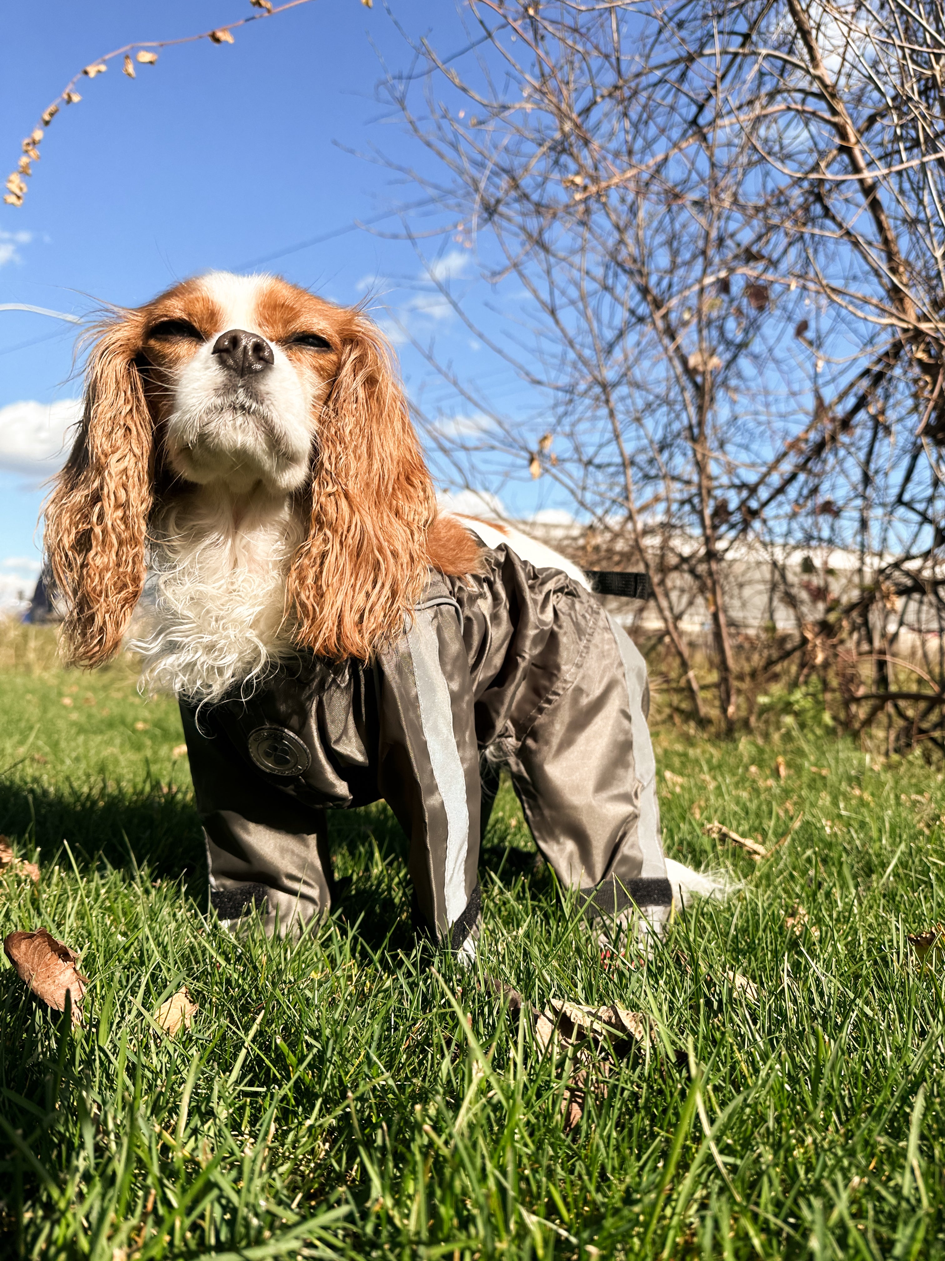 BODYGUARD PANTS