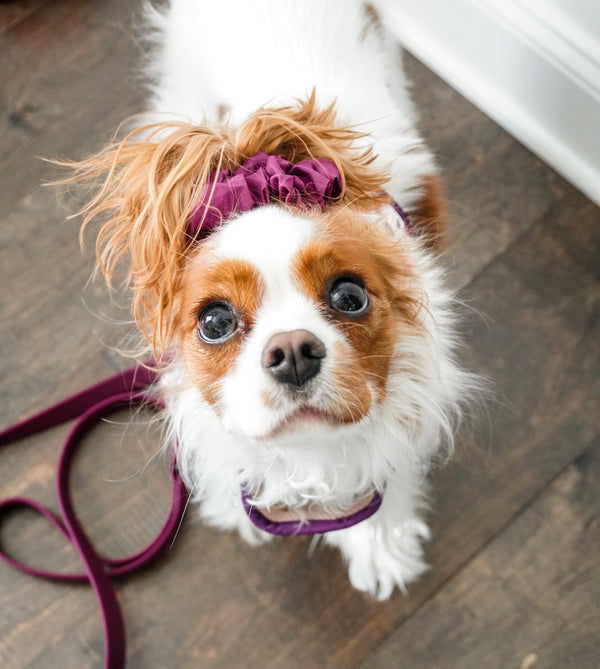 SCRUNCHIE - PURPLE Tea Rose
