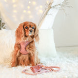 ROPE LEASH - Pink Velvet