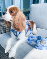 DOG HARNESS VEST STEP IN - Blue Tiles Lisbon