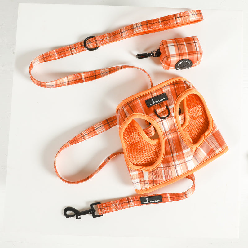 BUNDLE - ORANGE PLAID Pumpkin Spice