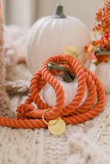 ROPE LEASH - ORANGE Pumpkin Spice