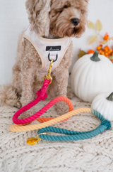 ROPE LEASH - OMBRE Autumn “Colors of the Wind”