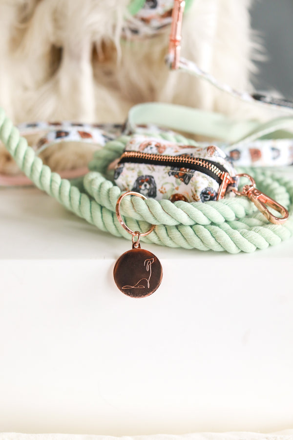 ROPE LEASH - Seafoam Rose Gold