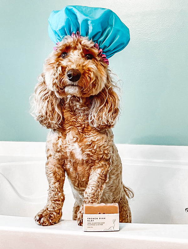DOG SHAMPOO BAR - French Pink Clay