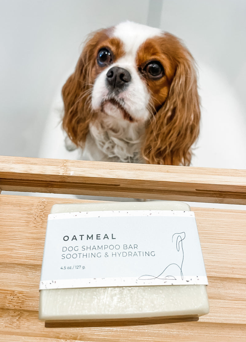 DOG SHAMPOO BAR - Oatmeal
