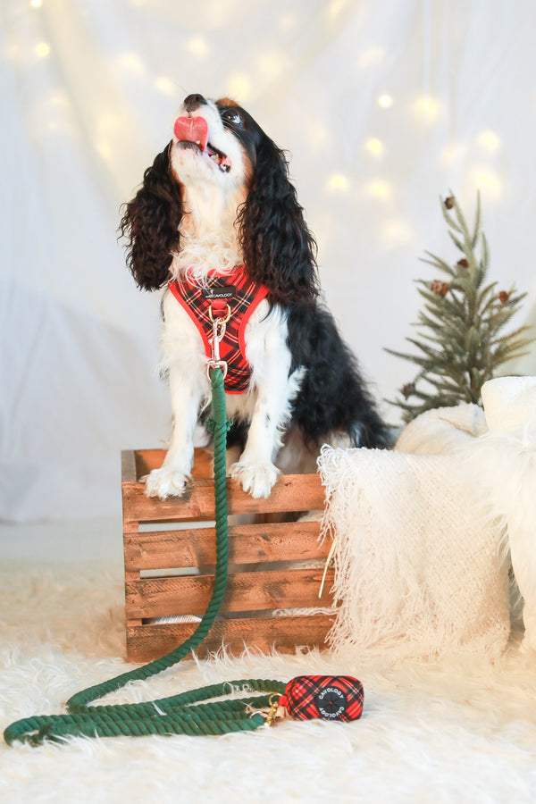 VEST STEP IN HARNESS - Red Plaid Tartan Winter Wonderland