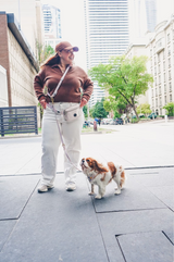 LEASH ATTACHMENT FOR HANDS FREE LEASH WHITE