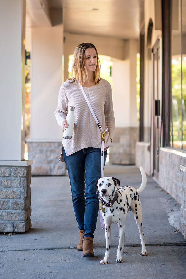 LEASH ATTACHMENT FOR HANDS FREE LEASH WHITE