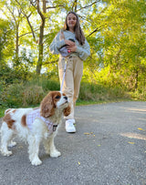 HANDS FREE LEASH - White and Gold