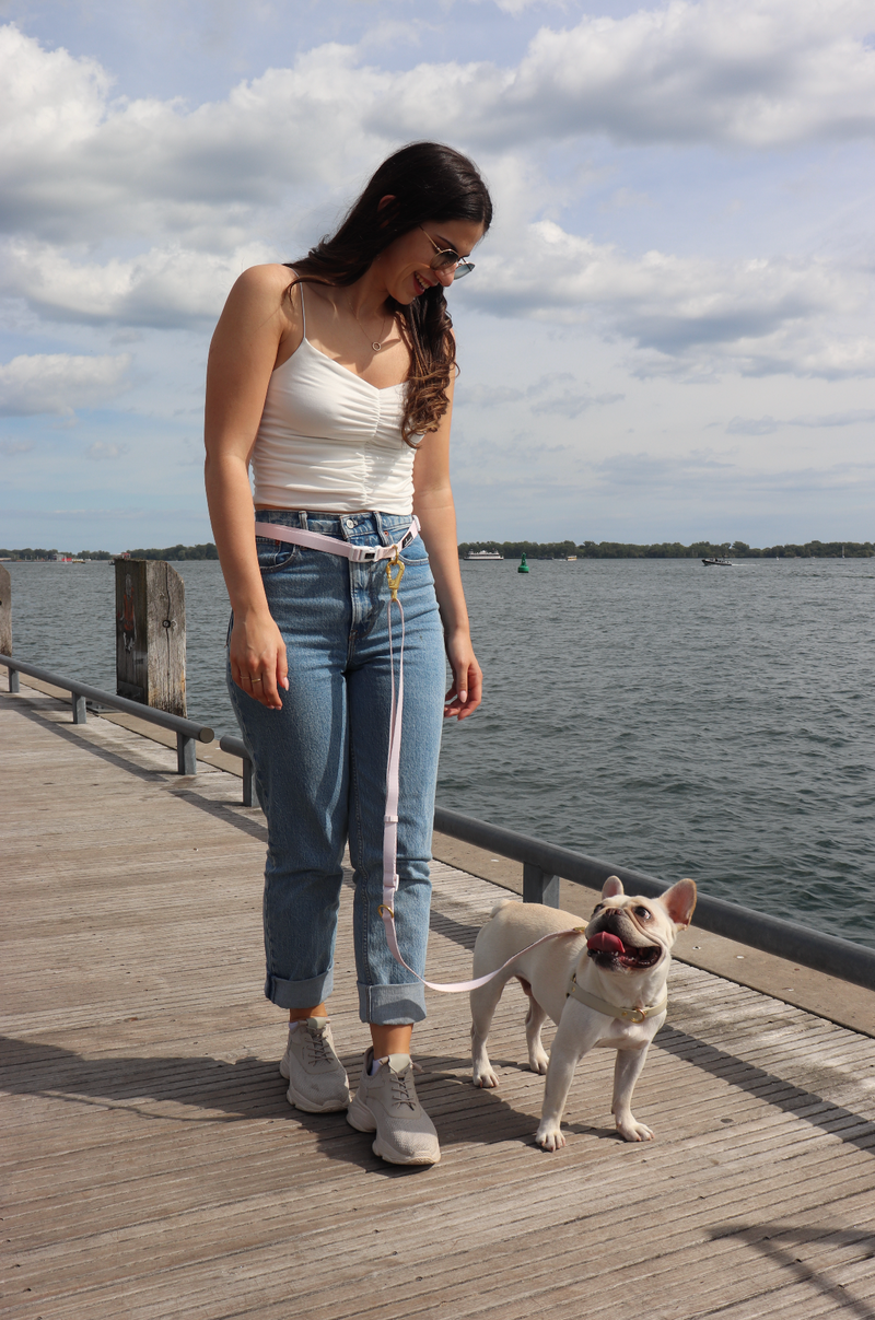 LEASH ATTACHMENT FOR HANDS FREE LEASH WHITE
