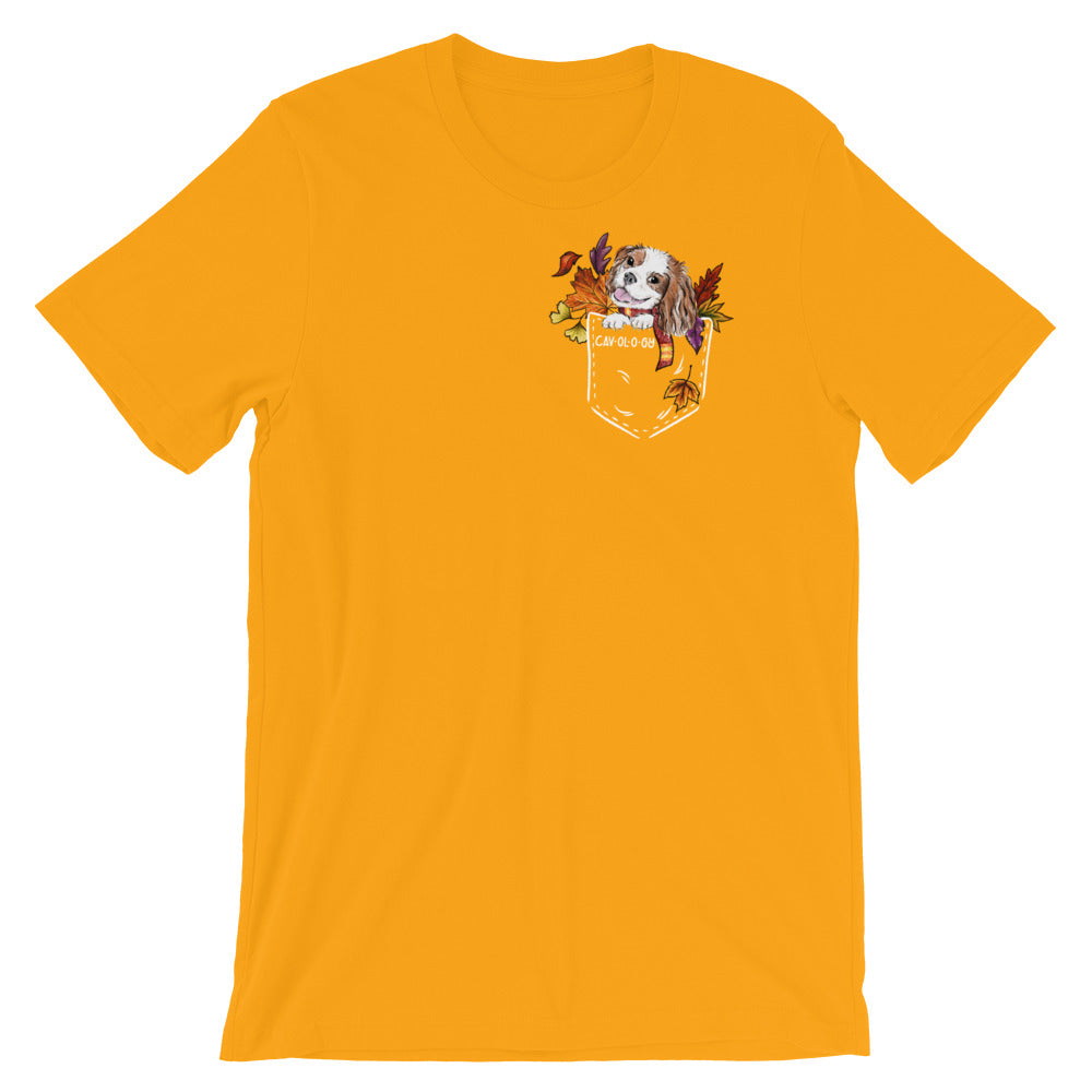 TSHIRT - Fall Blenheim