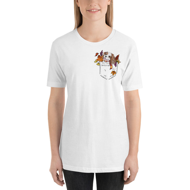 TSHIRT - Fall Blenheim
