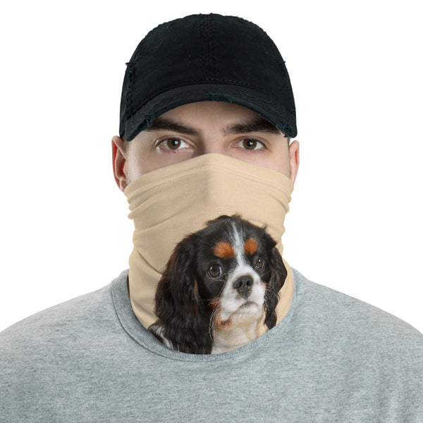 Tricolor Neck Gaiter