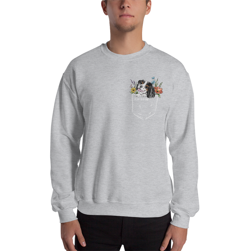 CAV IN POCKET (tricolor) Unisex Sweatshirt