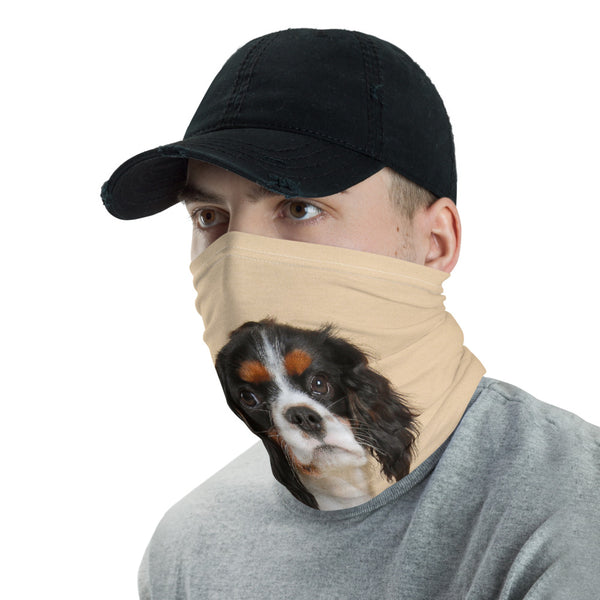 Tricolor Neck Gaiter