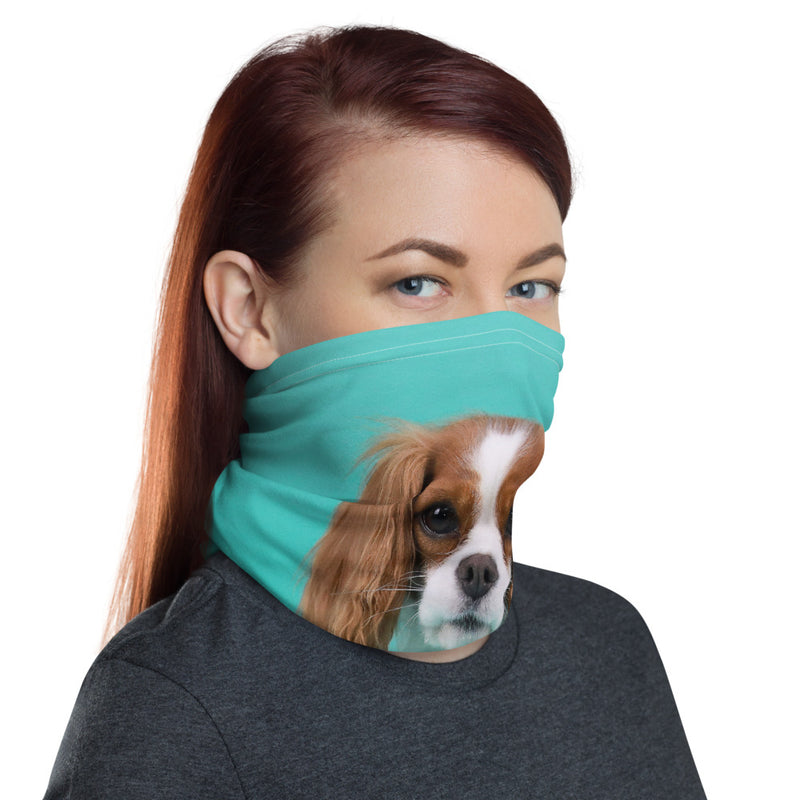 Blenheim Neck Gaiter