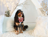 DOG BOW TIE - Pink Velvet