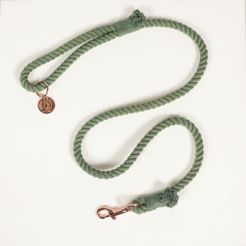 ROPE LEASH - Sage