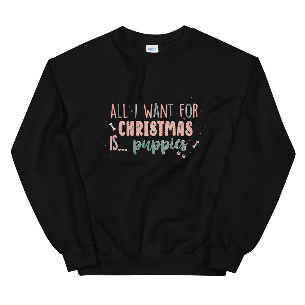 ALL I WANT FOR CHRISTMAS SWEATSHIRT