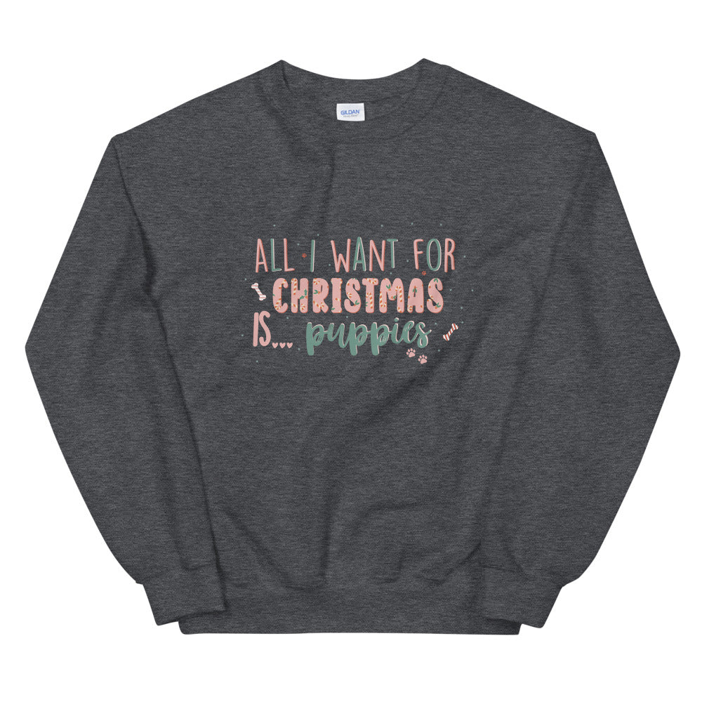 ALL I WANT FOR CHRISTMAS SWEATSHIRT