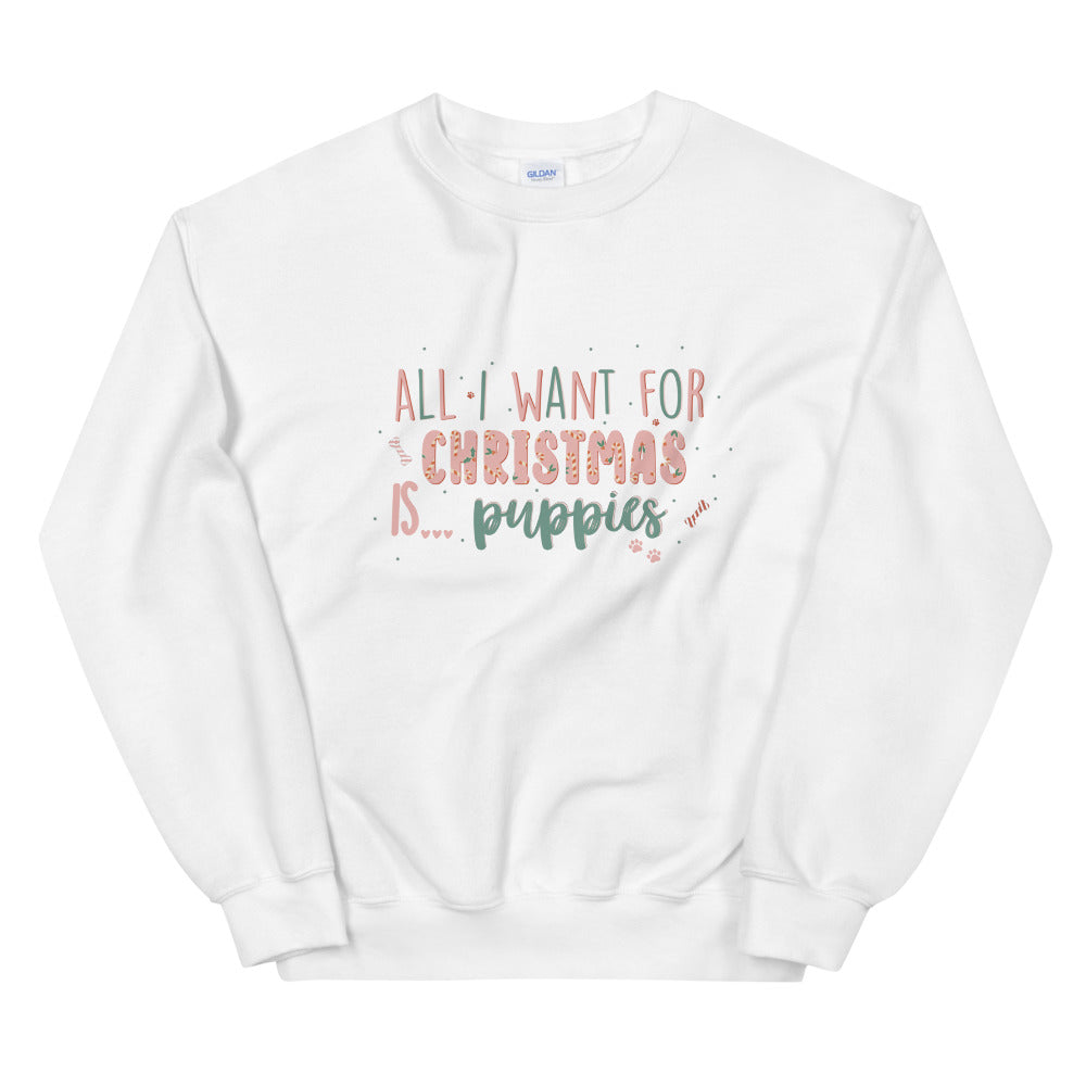 ALL I WANT FOR CHRISTMAS SWEATSHIRT