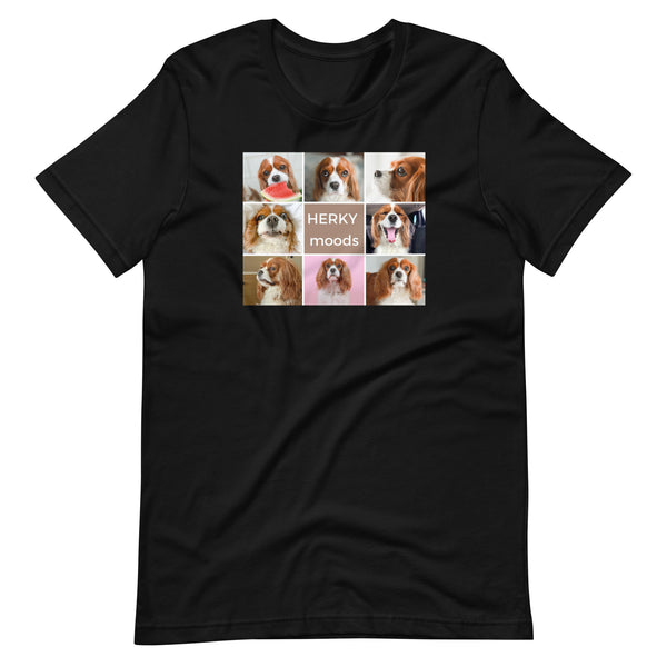 TSHIRT - Herky Moods