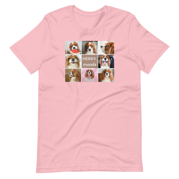 TSHIRT - Herky Moods